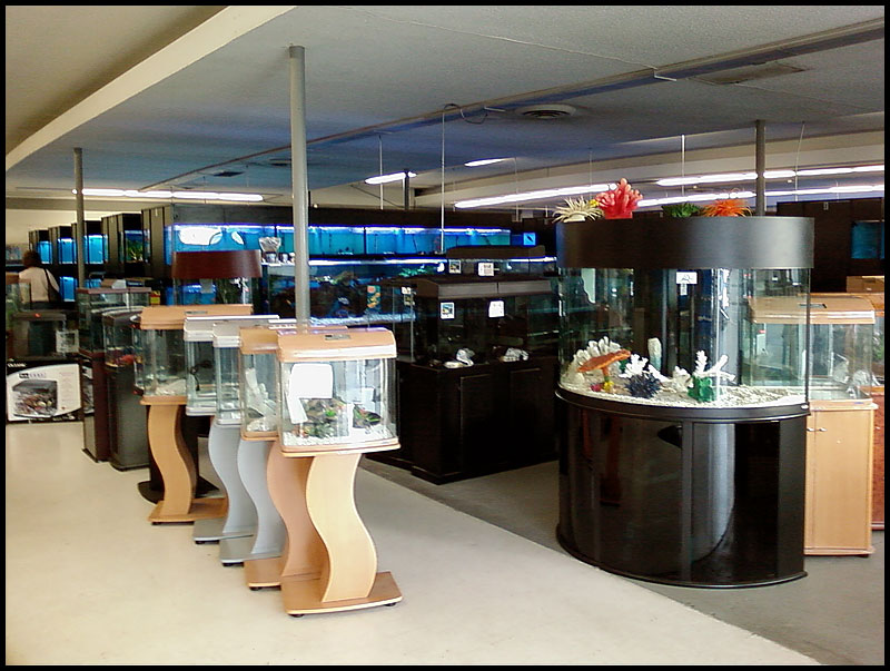 Exotic Aquarium of Sacramento