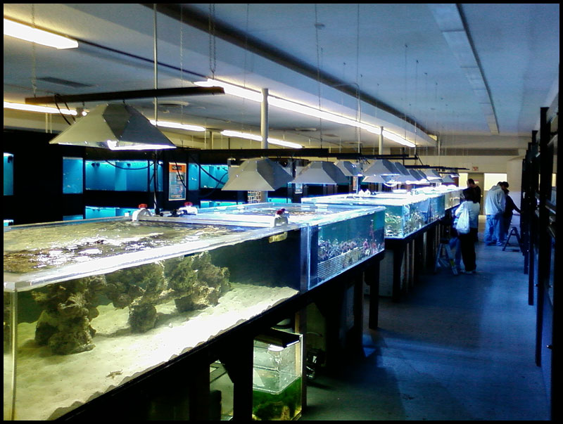 Exotic Aquarium of Sacramento